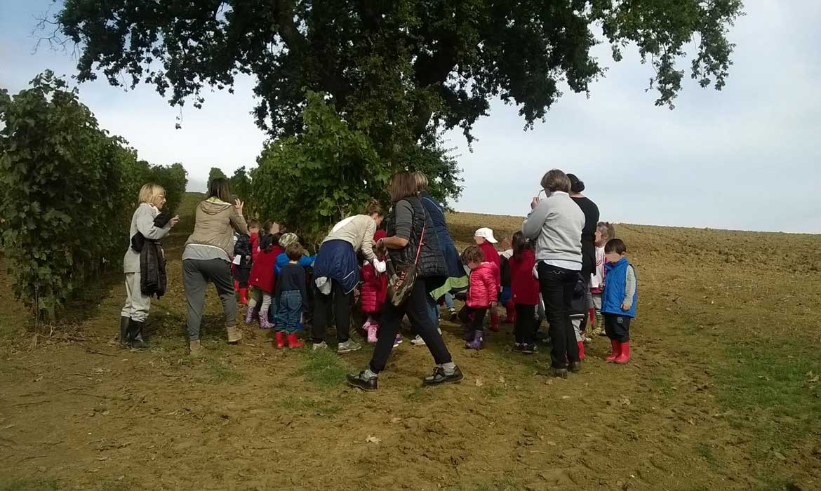 scuola-dell-infanzia-baldarelli-vendemmia